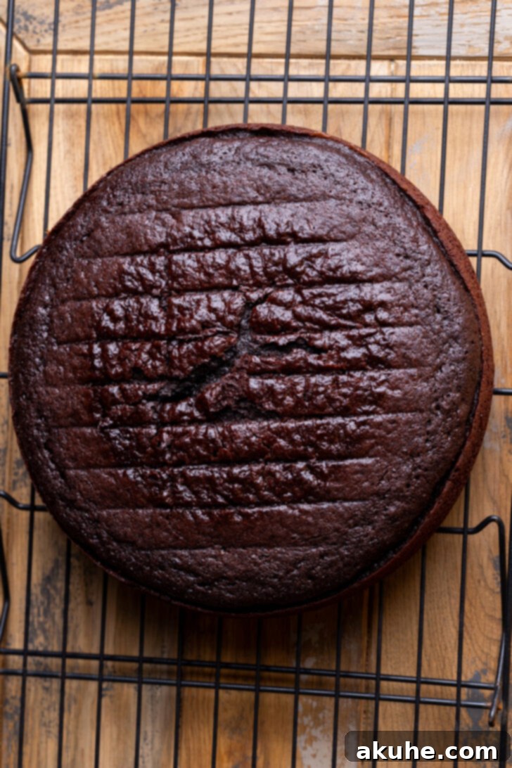 Decadent Chocolate Mousse Dream 5 Chocolate cake on a wire rack with the dome being cut off.