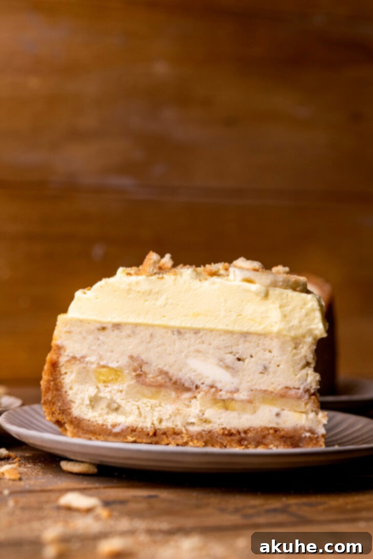 Southern Banana Pudding Cheesecake 2 One slice of banana pudding cheesecake on a plate, showcasing its layers.