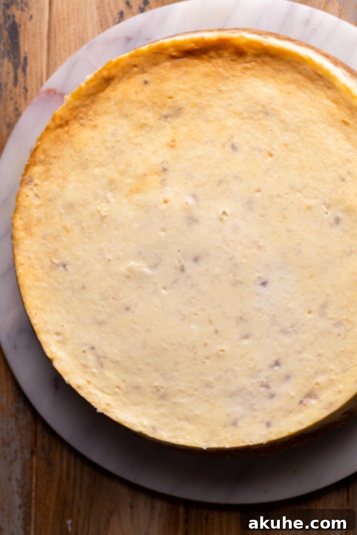 Southern Banana Pudding Cheesecake 8 A baked cheesecake resting on a cooling rack.