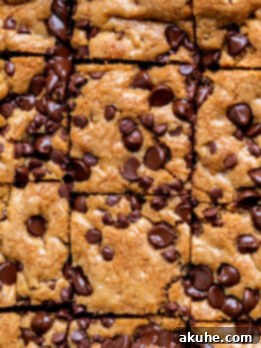 Nutty Brown Butter Chocolate Chip Cookie Slices 11 Top of baked brown butter chocolate chip cookie bars.