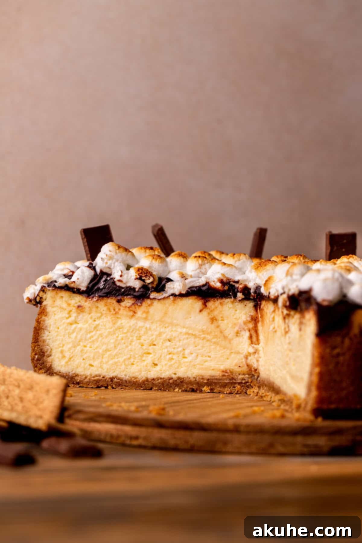 The finished S'mores cheesecake on a rustic wood board, showcasing its beautiful presentation.