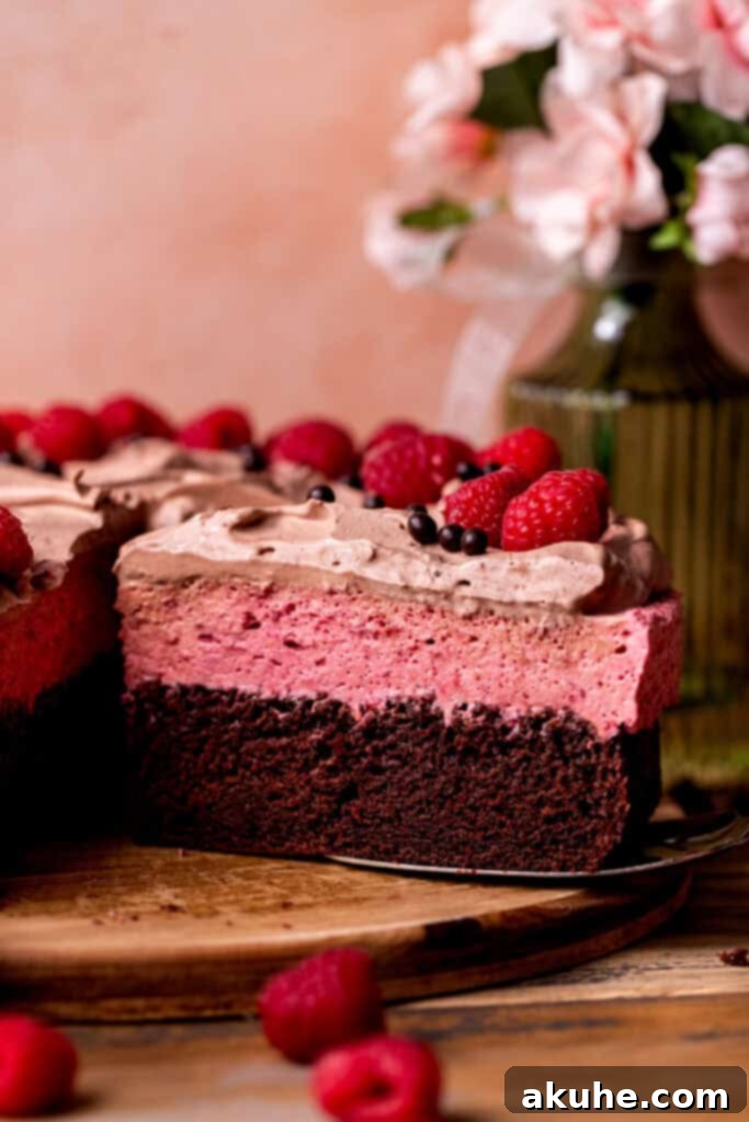 Raspberry Chocolate Cloud Cake 2 Chocolate raspberry mousse cake on a board, showcasing its elegant layers.