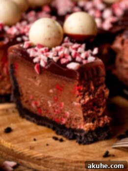 Peppermint Bark Cheesecake 11 One slice on chocolate peppermint cheesecake on a wood board.