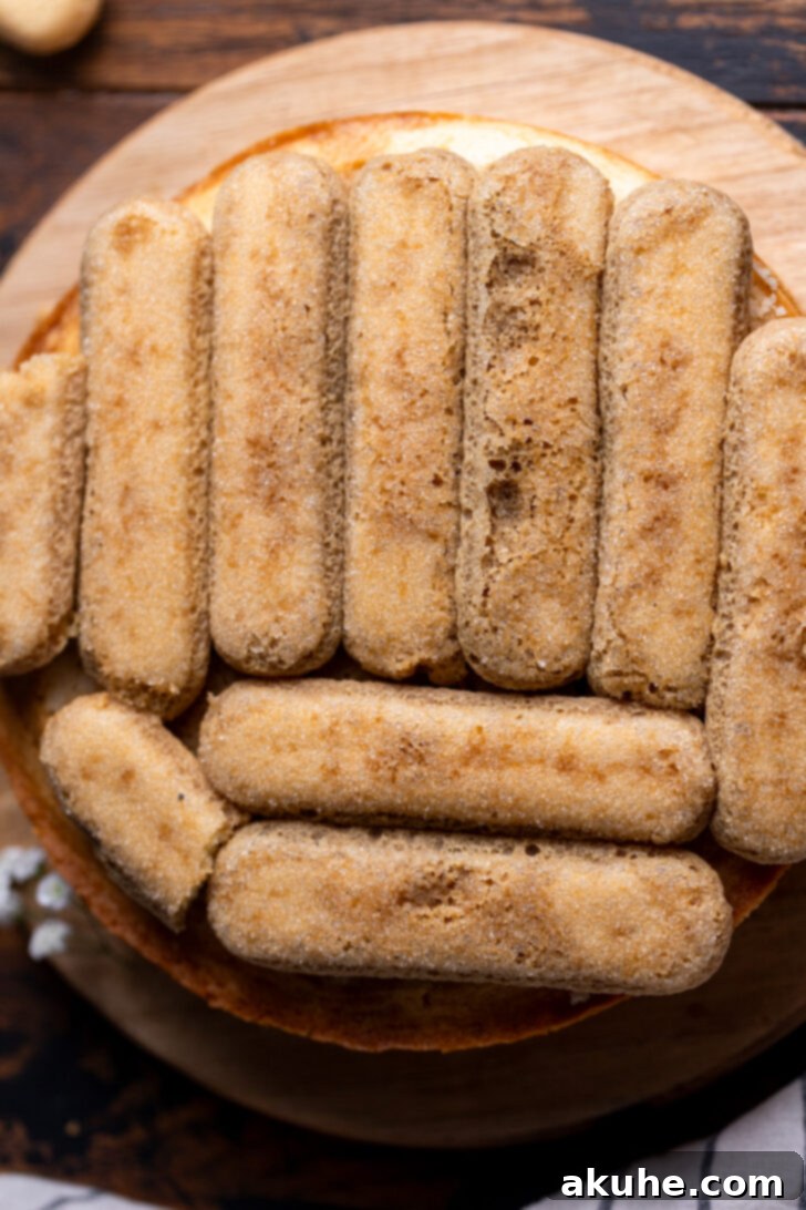 Espresso-soaked ladyfingers arranged on top of the cake.