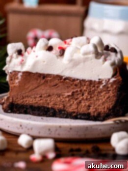 Decadent Hot Chocolate Cheesecake 11 Slice of hot chocolate cheesecake on a plate.