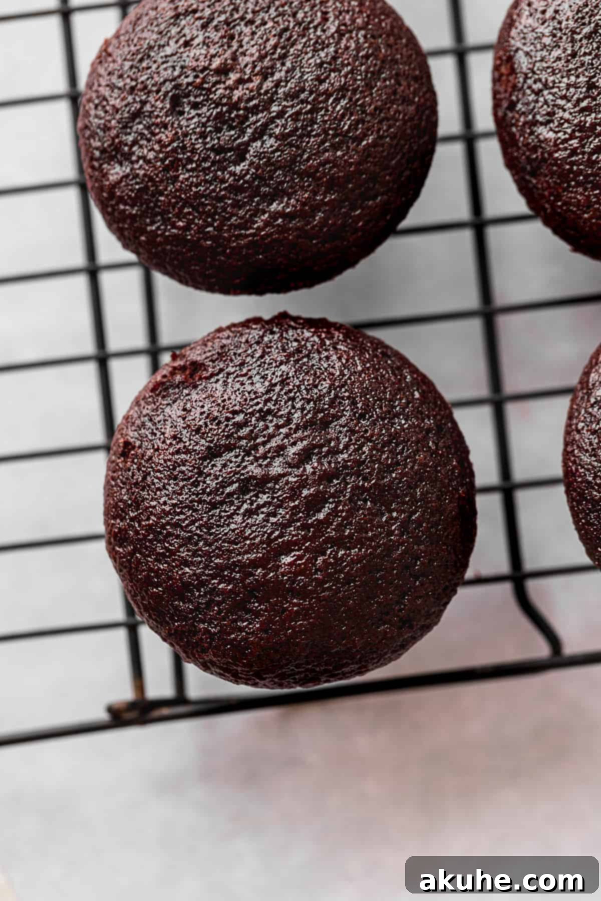 Decadent Chocolate Fudge Cupcakes 7 A perfectly baked chocolate fudge cupcake resting on a wire rack, showcasing its moist texture and readiness for frosting.