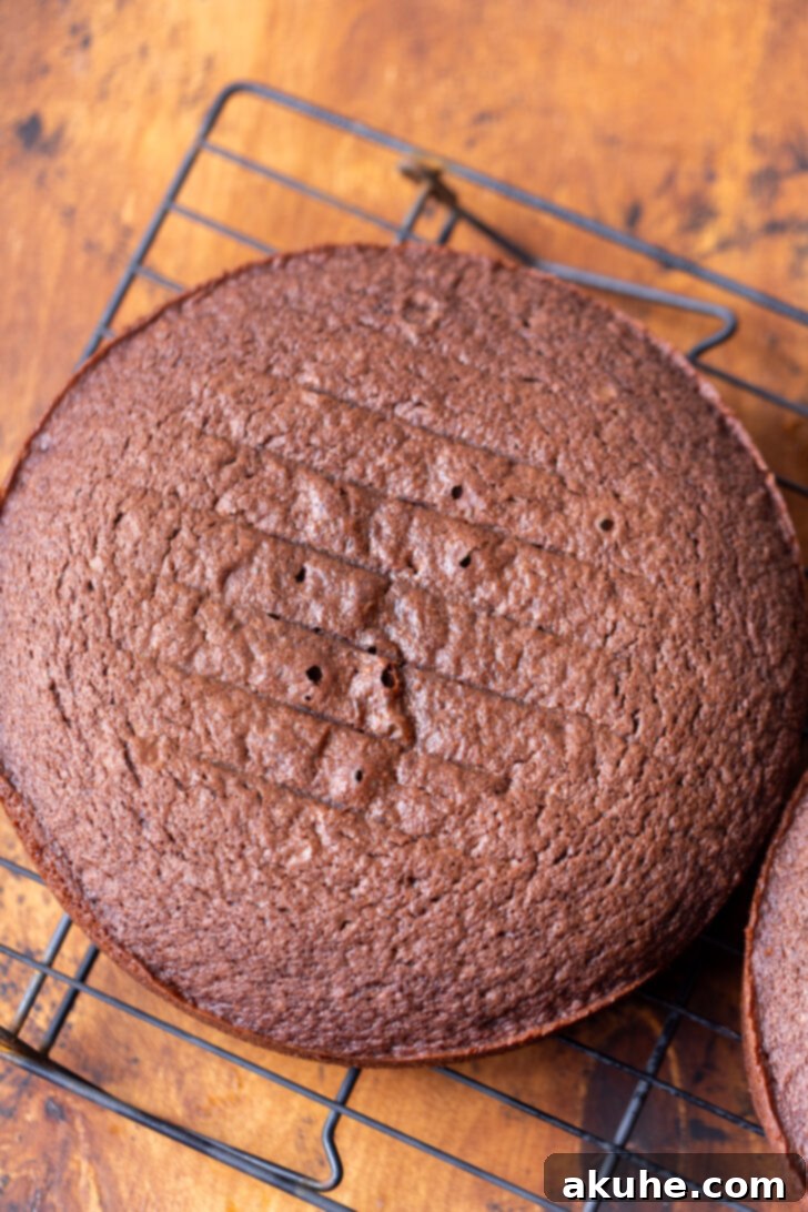 Decadent Chocolate Coconut Pecan Cake 6 Three golden-brown chocolate cake layers cooling on a wire rack, perfectly baked and ready for frosting.