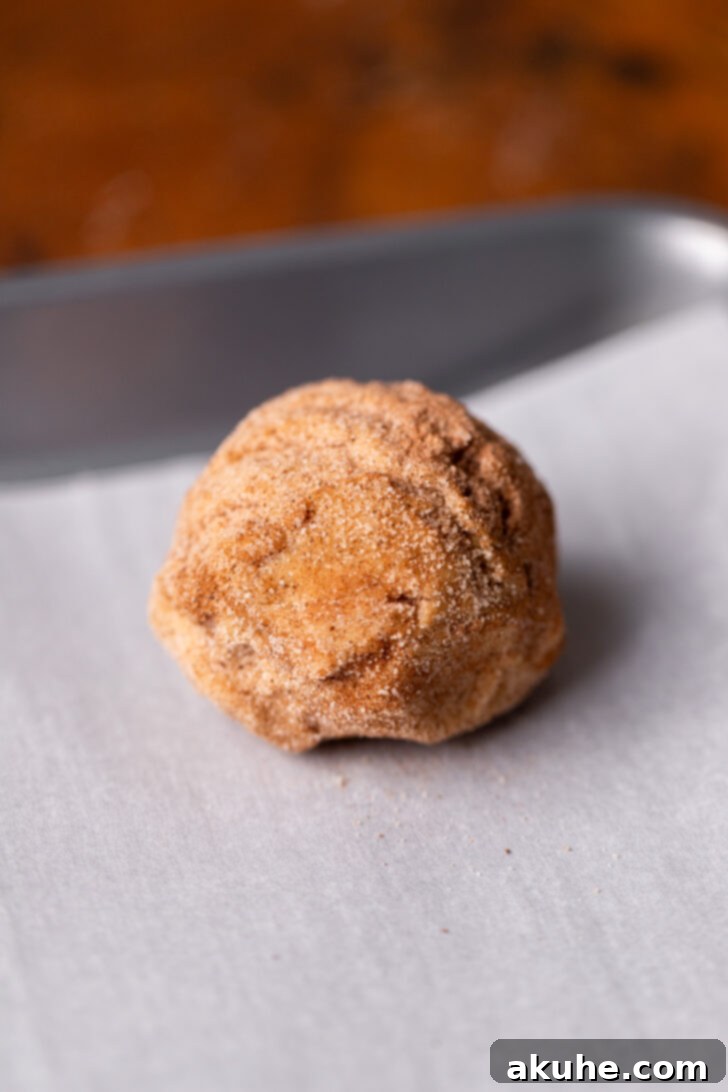 A ball of cookie dough, rolled in cinnamon sugar, placed on a cookie sheet.