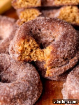 Harvest Apple Cider Donuts 11 A close-up image of an apple cider donut with a bite taken out, enticing the viewer.