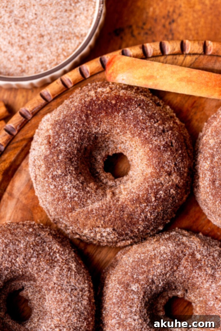 Harvest Apple Cider Donuts 3 Top view of several golden-brown apple cider donuts generously coated in cinnamon sugar.