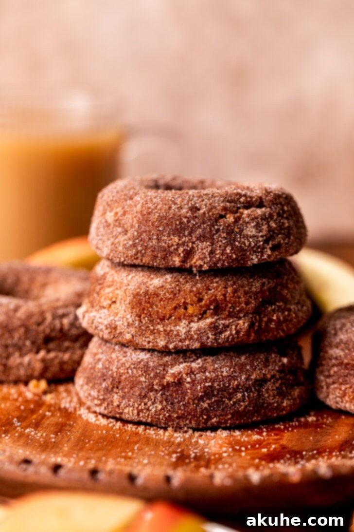 Harvest Apple Cider Donuts 10 A rustic stack of three apple cider donuts, dusted with cinnamon sugar, on a textured surface.