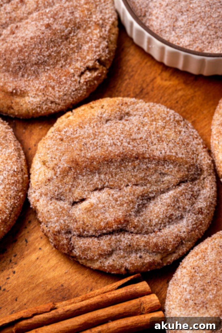 Spiced Chai Cookies 3 Top view of freshly baked chai cookies arranged beautifully on a cooling rack.