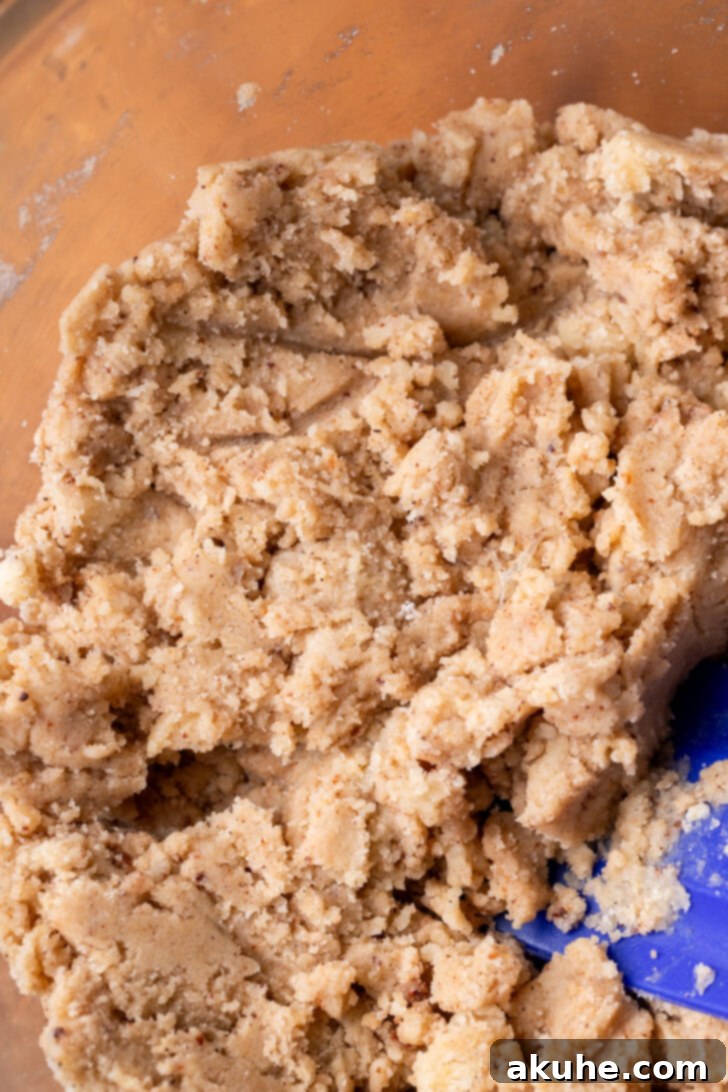 Spiced Chai Cookies 5 Thick, well-combined cookie dough in a mixing bowl.
