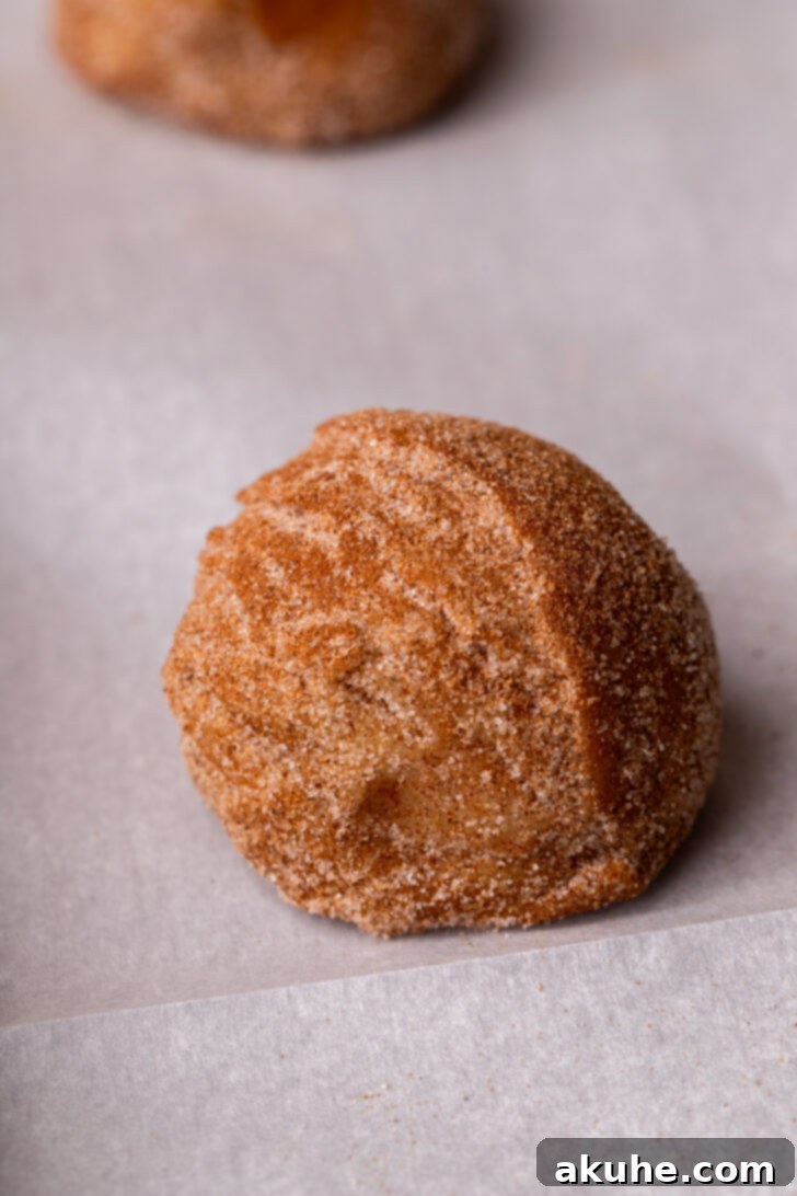 Spiced Chai Cookies 6 A rolled cookie dough ball coated in chai sugar, sitting on parchment paper.