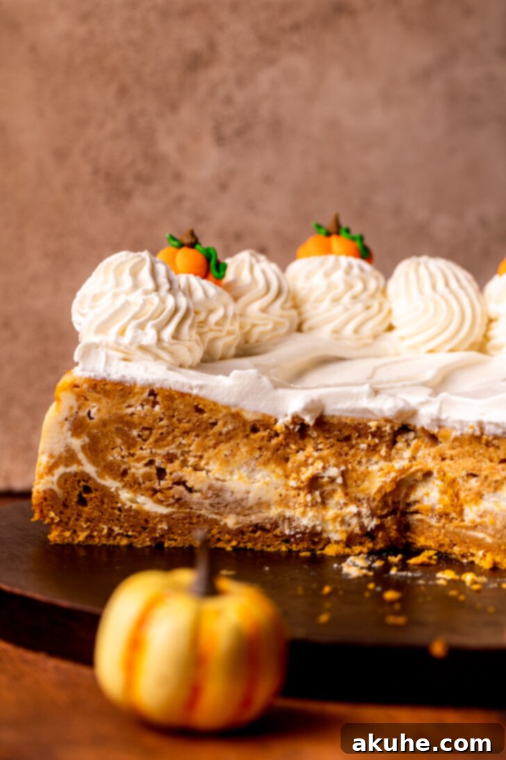 Autumn Pumpkin Cheesecake Cake 3 Side view of a baked pumpkin cheesecake cake, showing the swirled layers.