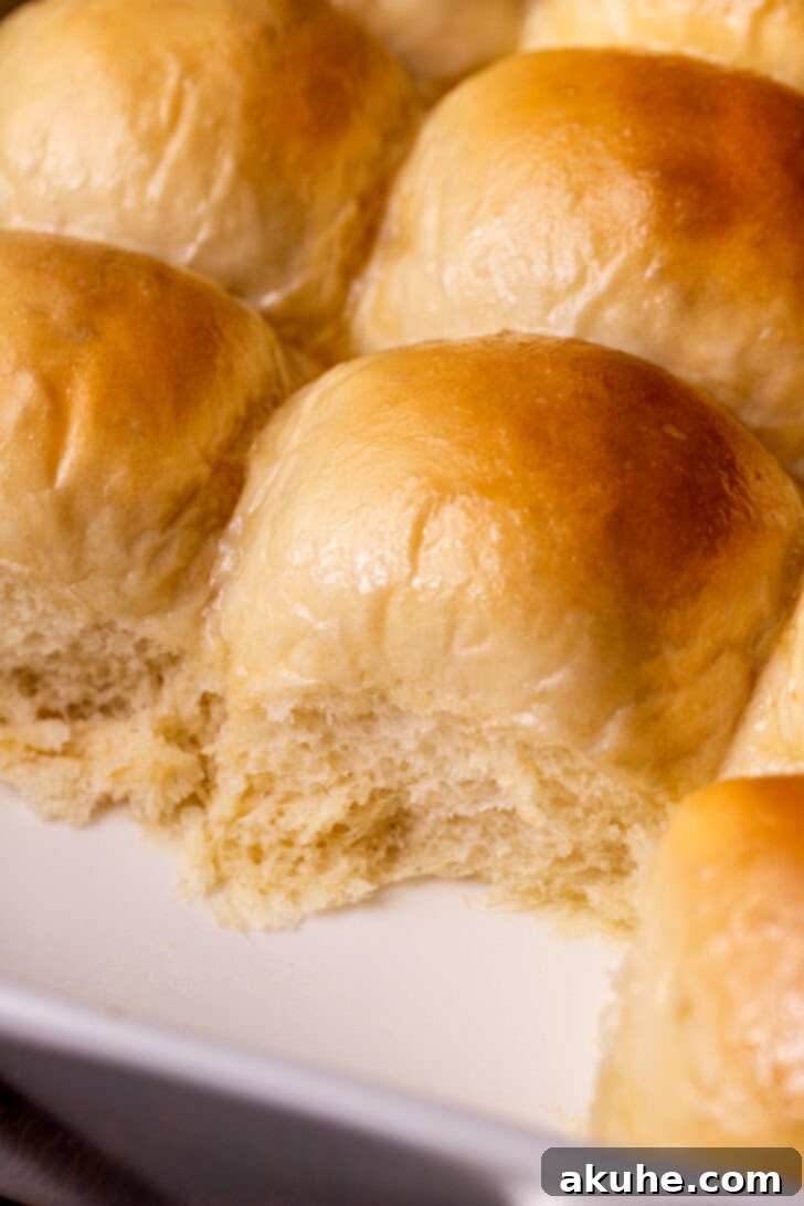 Side view of golden-brown fluffy dinner rolls fresh out of the oven, nestled closely in a white baking pan, ready to be served and enjoyed.
