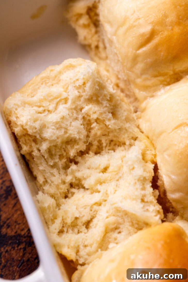 A single, perfectly baked dinner roll, split cleanly in half to reveal its incredibly soft, delicate, and airy interior texture, invitingly ready for butter.