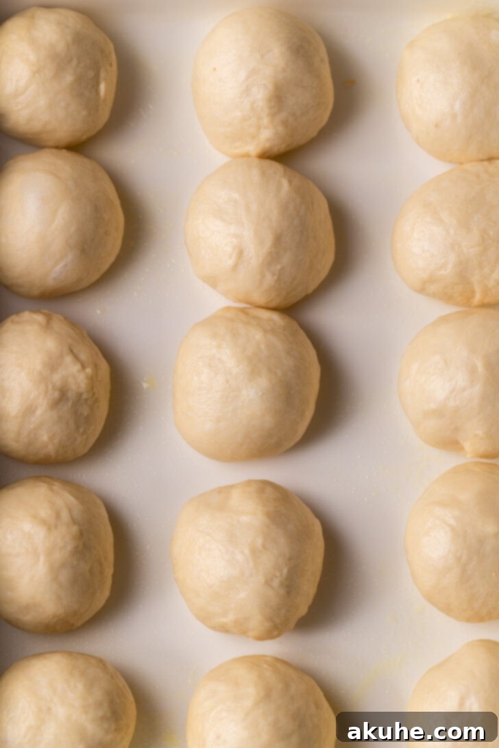 Precisely shaped and uniformly rolled dinner rolls arranged neatly in a baking pan, poised and ready for their crucial second proofing.