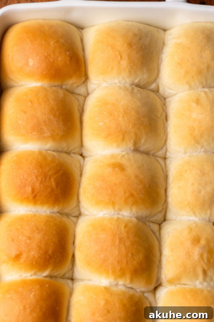 Baked dinner rolls with a perfectly golden-brown crust, fresh out of the oven, glistening slightly as they await their sweet honey butter glaze.
