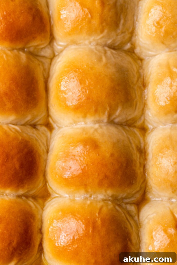 An aerial view of the perfectly golden, incredibly fluffy dinner rolls, evenly baked and brushed with a glistening honey butter glaze, showcasing their irresistible appeal.