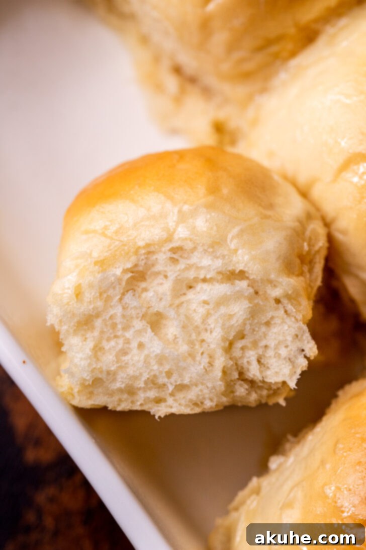 A single, perfectly baked fluffy dinner roll, glistening with honey butter, resting delicately on its side, highlighting its golden crust and impossibly soft texture.
