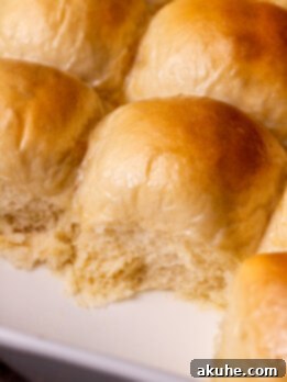 Side view of golden dinner rolls, baked to perfection in a pan, and ready to be served, glistening slightly from the honey butter.