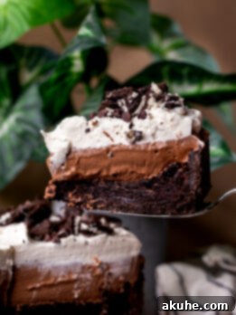 Deep South Chocolate Decadence 11 A perfect slice of Mississippi Mud Pie being taken from the whole pie.