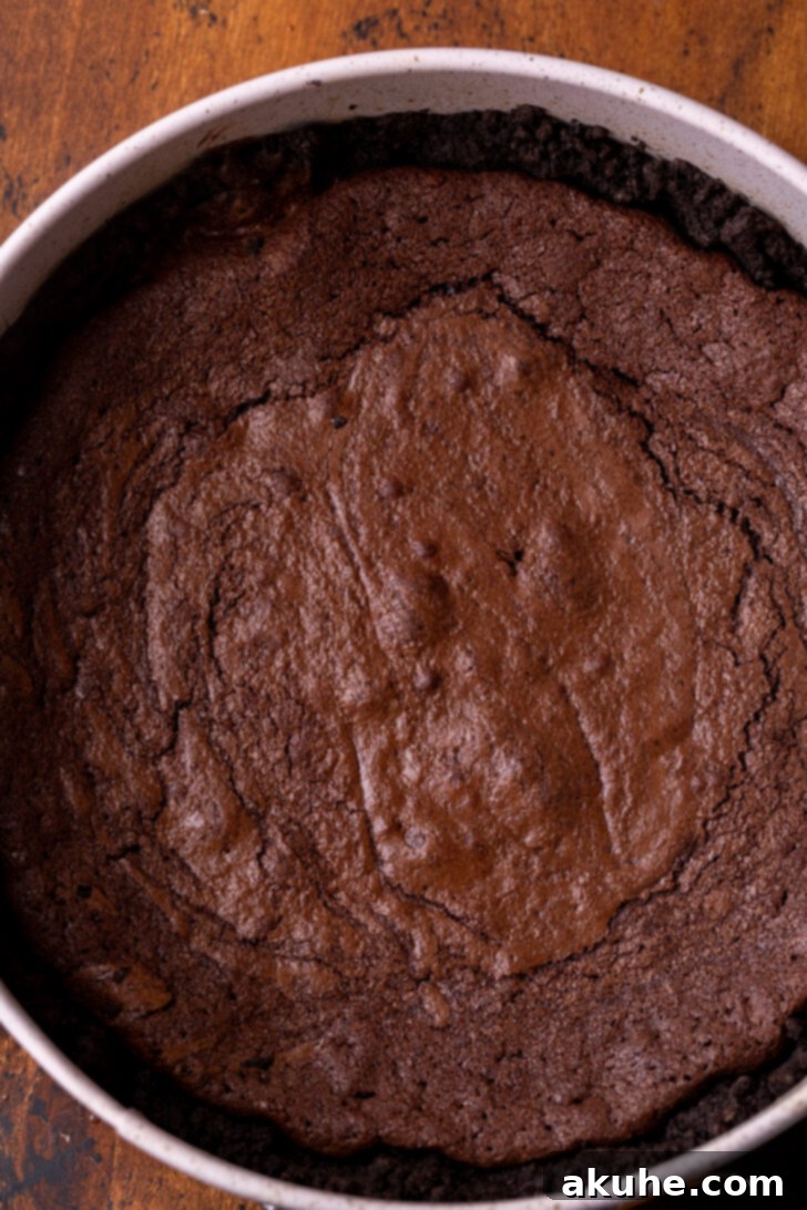 Deep South Chocolate Decadence 5 The baked brownie layer sitting on top of the Oreo crust in a pie pan.
