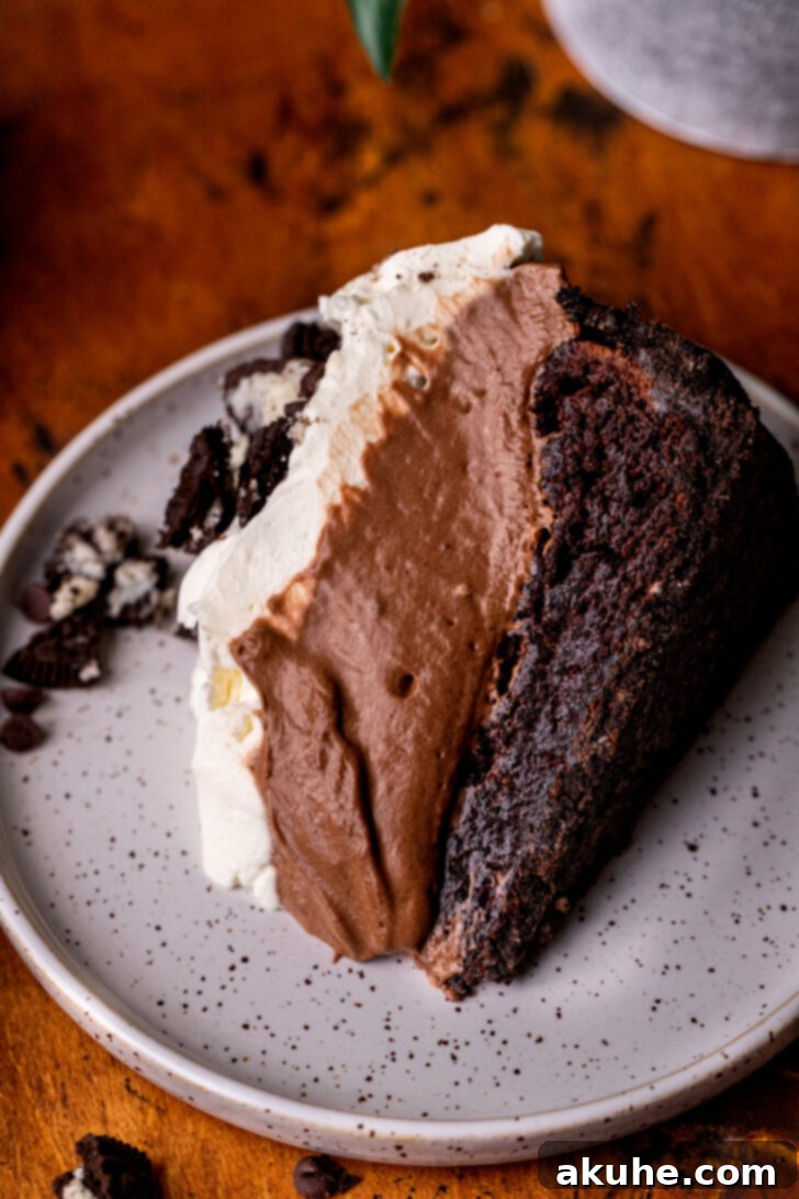 Deep South Chocolate Decadence 9 A delectable slice of Mississippi Mud Pie lying on its side on a white plate, showcasing its layers.