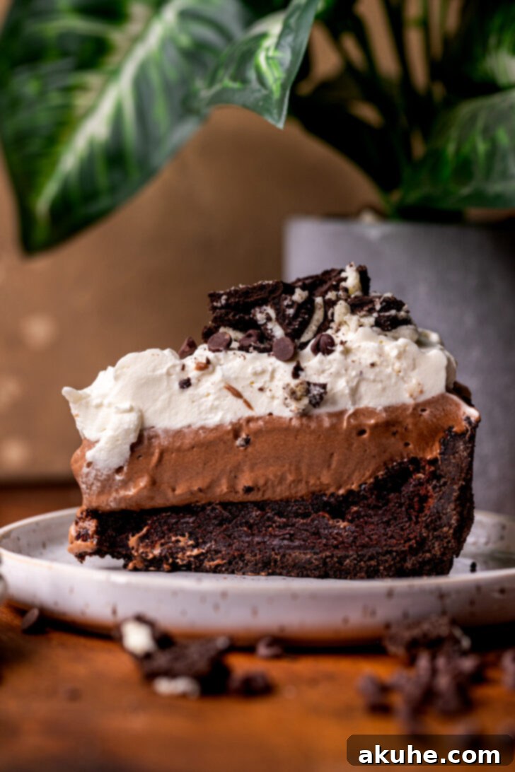 Deep South Chocolate Decadence 10 A pristine slice of Mississippi Mud Pie elegantly presented on a white plate.