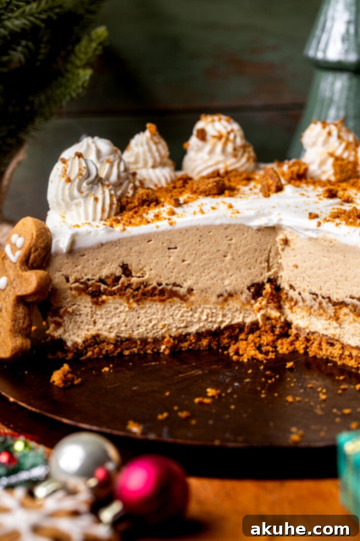 Side view of a beautifully decorated no-bake gingerbread cheesecake, showcasing its distinct layers.