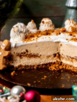 Side view of no-bake gingerbread cheesecake, showcasing layers and topping.