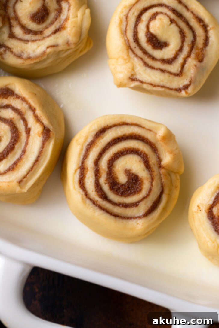 Festive Eggnog Swirls 6 Cutting the rolled dough into individual cinnamon rolls using a serrated knife.