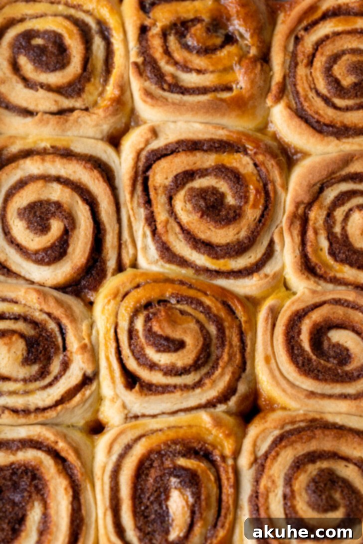 Festive Eggnog Swirls 8 Top view of baked cinnamon rolls, golden brown and puffed up.