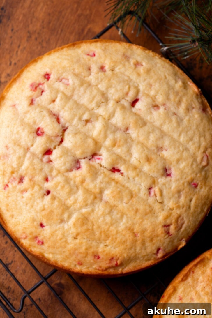 A perfectly baked cake layer resting on a wire rack, cooling down.
