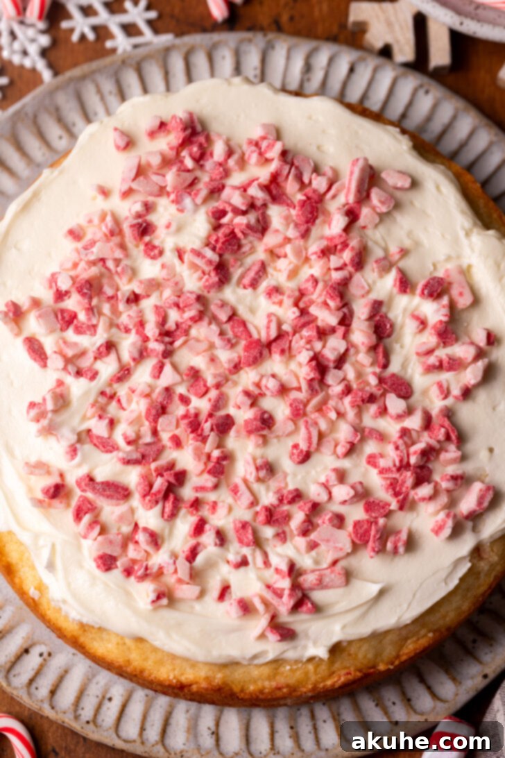 A thick layer of white chocolate cream cheese frosting spread evenly on a cake layer, sprinkled with peppermint chips.