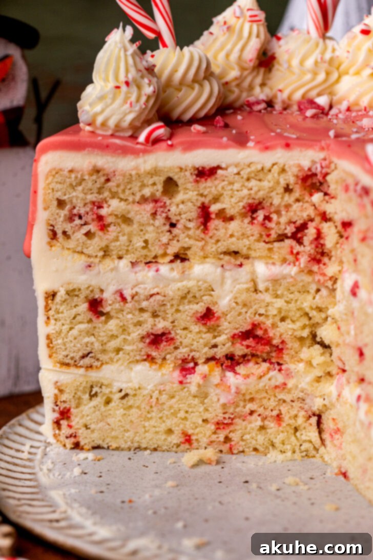 Close up view of the intricate side decoration of the white chocolate peppermint cake.