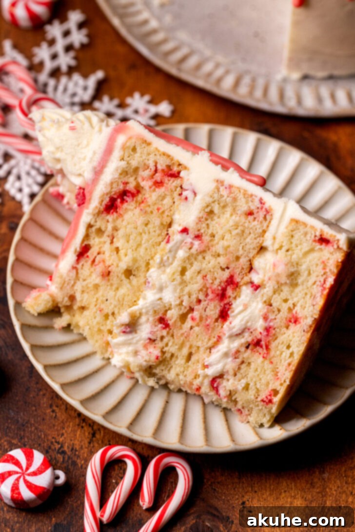 One perfect slice of white chocolate peppermint cake served on a festive plate.