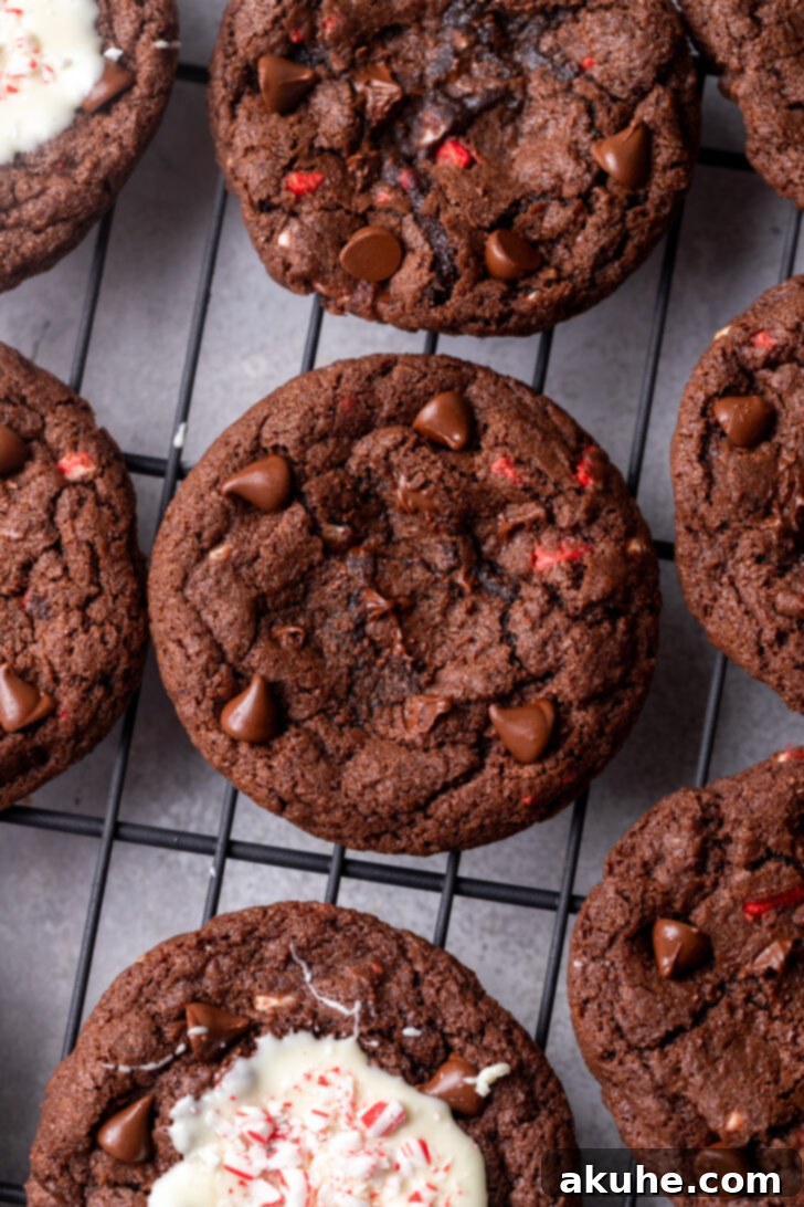 Peppermint Chocolate Swirl Cookies 6 Freshly baked cookies on a wire rack, cooling down.