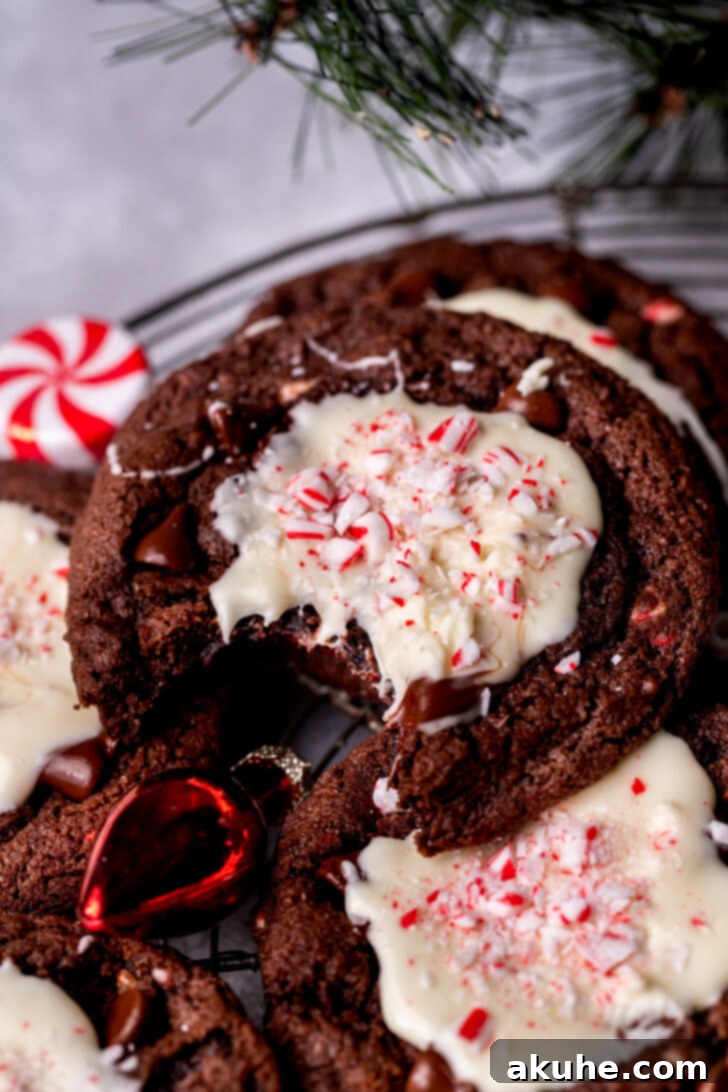 Peppermint Chocolate Swirl Cookies 8 A delicious bite missing from a peppermint bark cookie.
