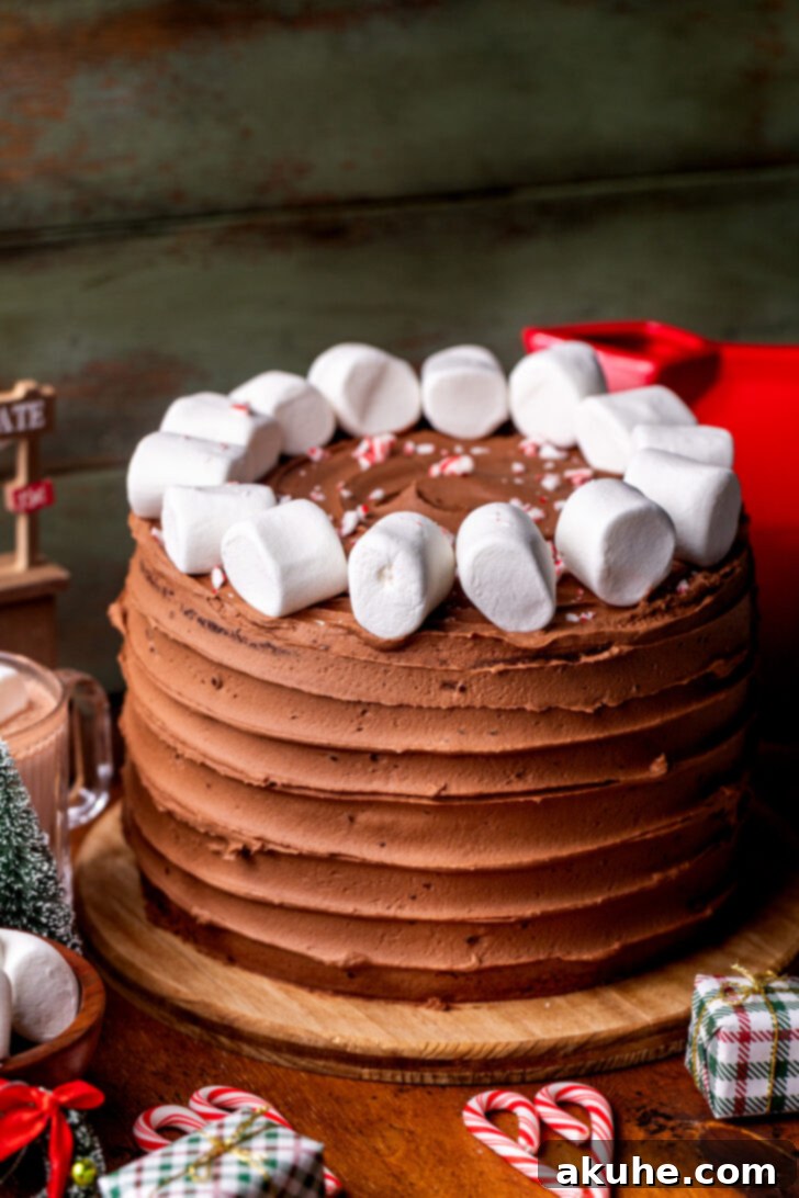 Beautifully decorated Hot Cocoa Cake on a wooden board.