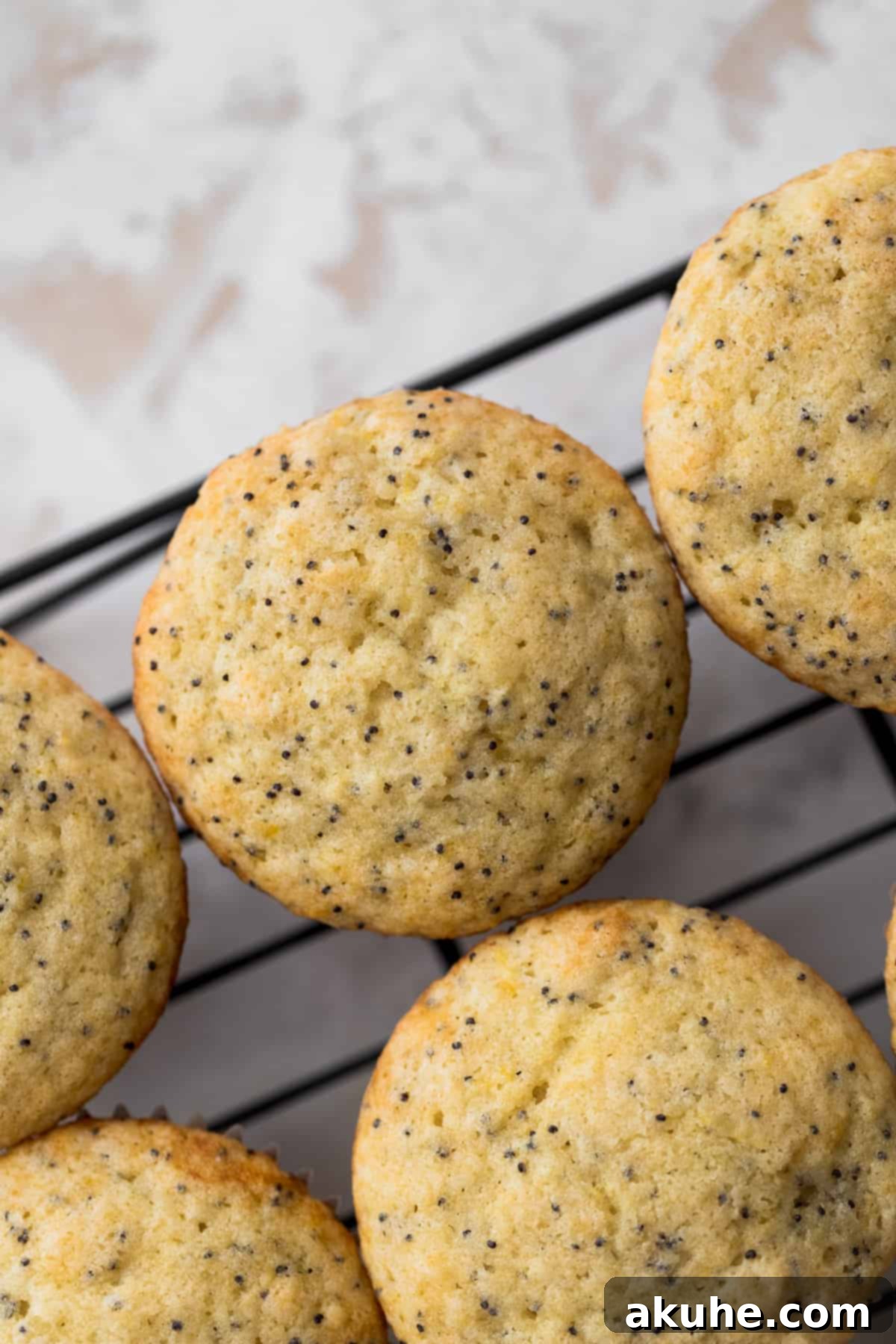 Sunshine Lemon Poppy Seed Cupcakes 7 Freshly baked lemon poppy seed cupcakes cooling on a wire rack.