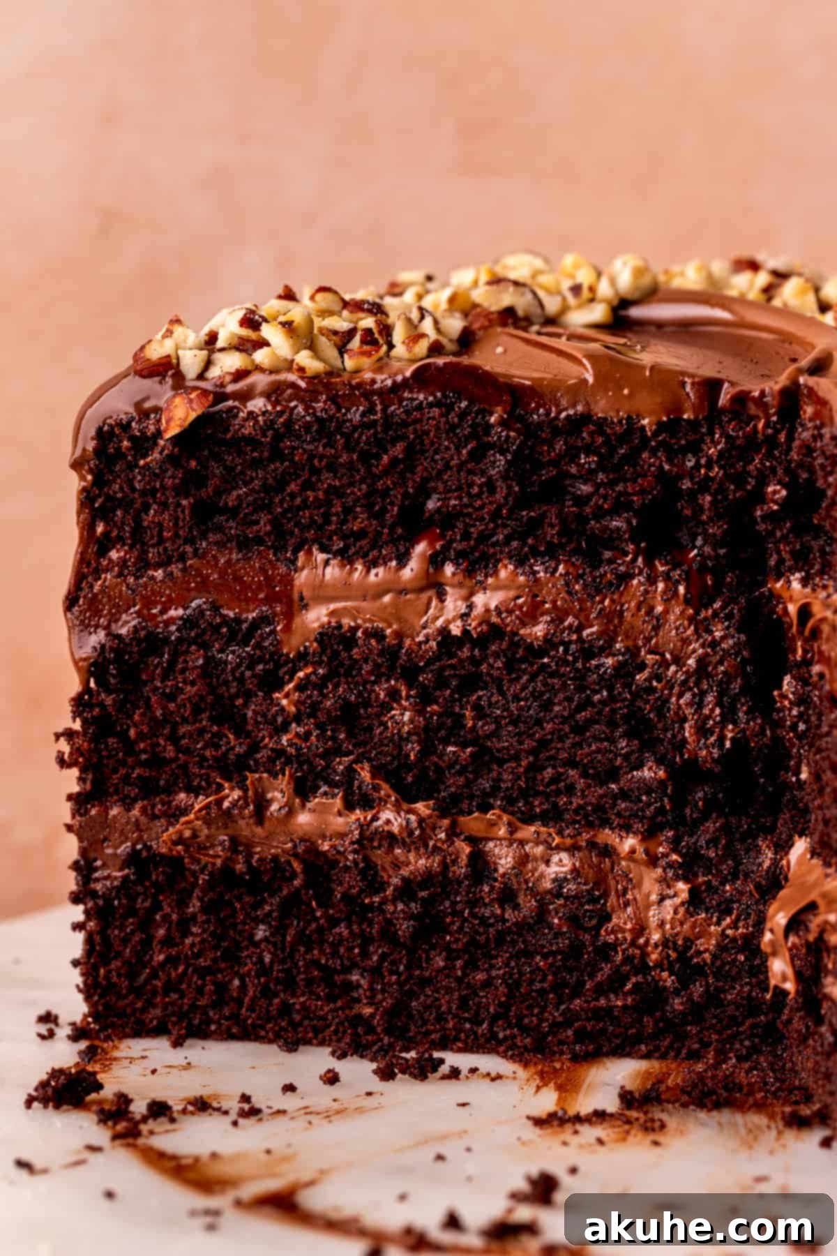 Close-up of the rich Nutella chocolate cake, highlighting the texture and layers.