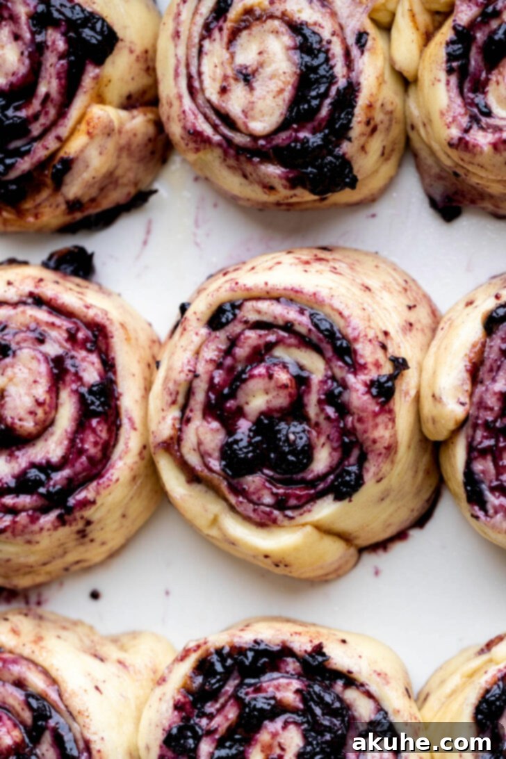 Unbaked blueberry cinnamon rolls arranged neatly in a baking pan, ready for their second rise.