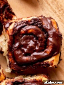 Chocolate Cinnamon Rolls 11 One chocolate cinnamon roll.