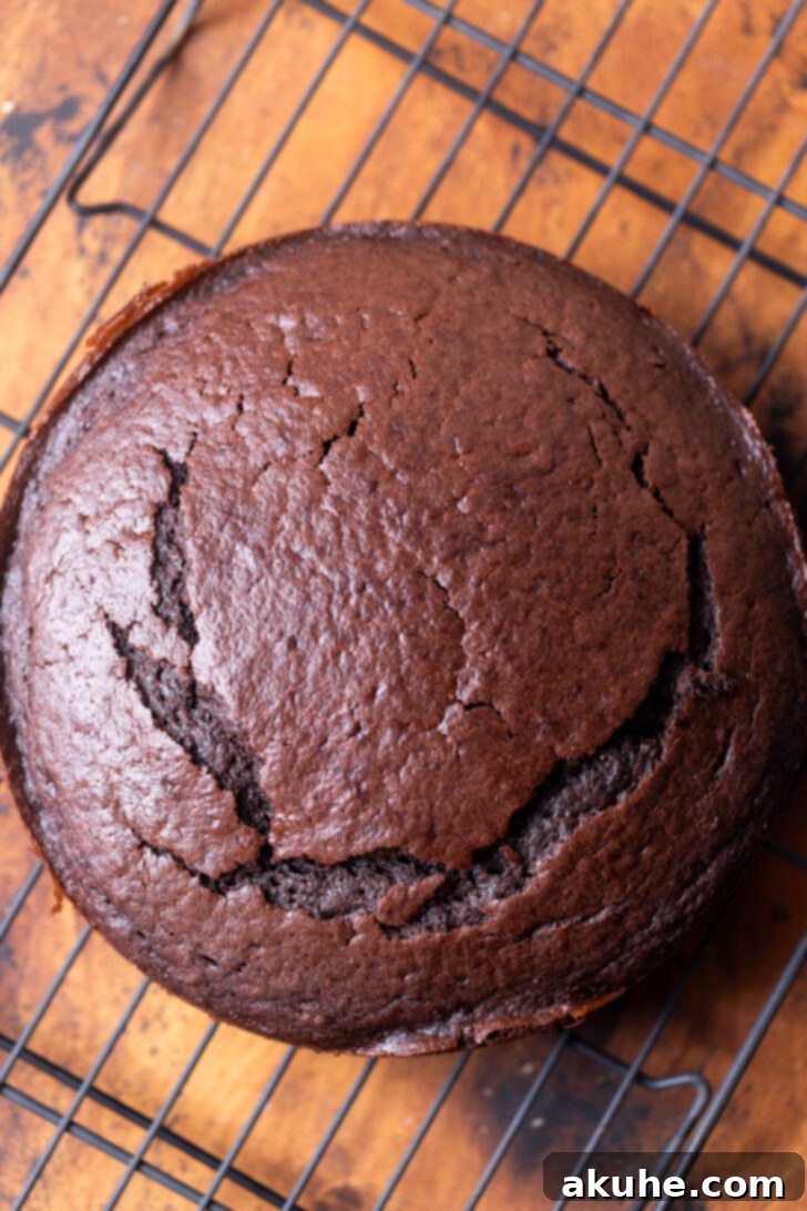 A freshly baked chocolate cake layer resting on a wire rack, with a small domed top.