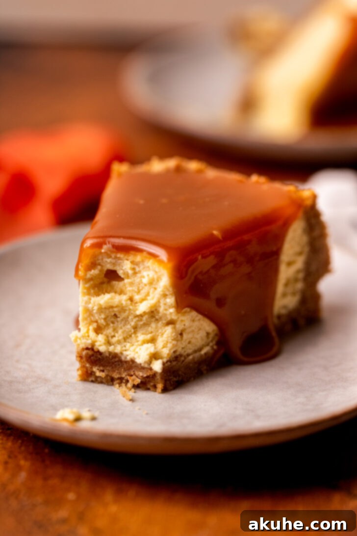 Velvet Caramel Indulgence 11 A close-up of a caramel cheesecake slice with a bite taken out, highlighting the moist, creamy texture and the golden caramel.