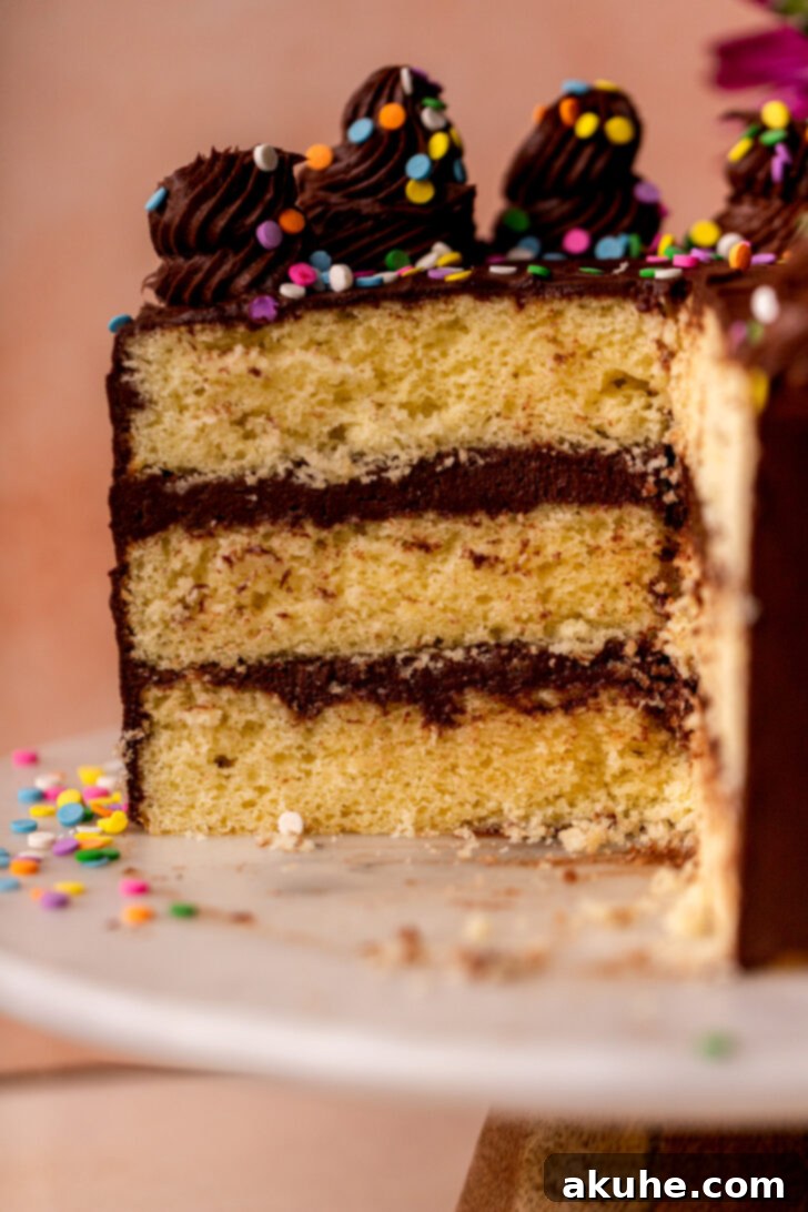 Classic Yellow Cake 3 A stunning side view of the three-layer homemade yellow cake, revealing its perfectly even layers and generous coating of chocolate cream cheese frosting, adorned with sprinkles.