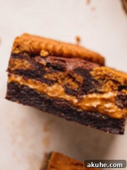 Fudgy Biscoff Swirl Brownies 13 Close up of side shot of biscoff brownies.
