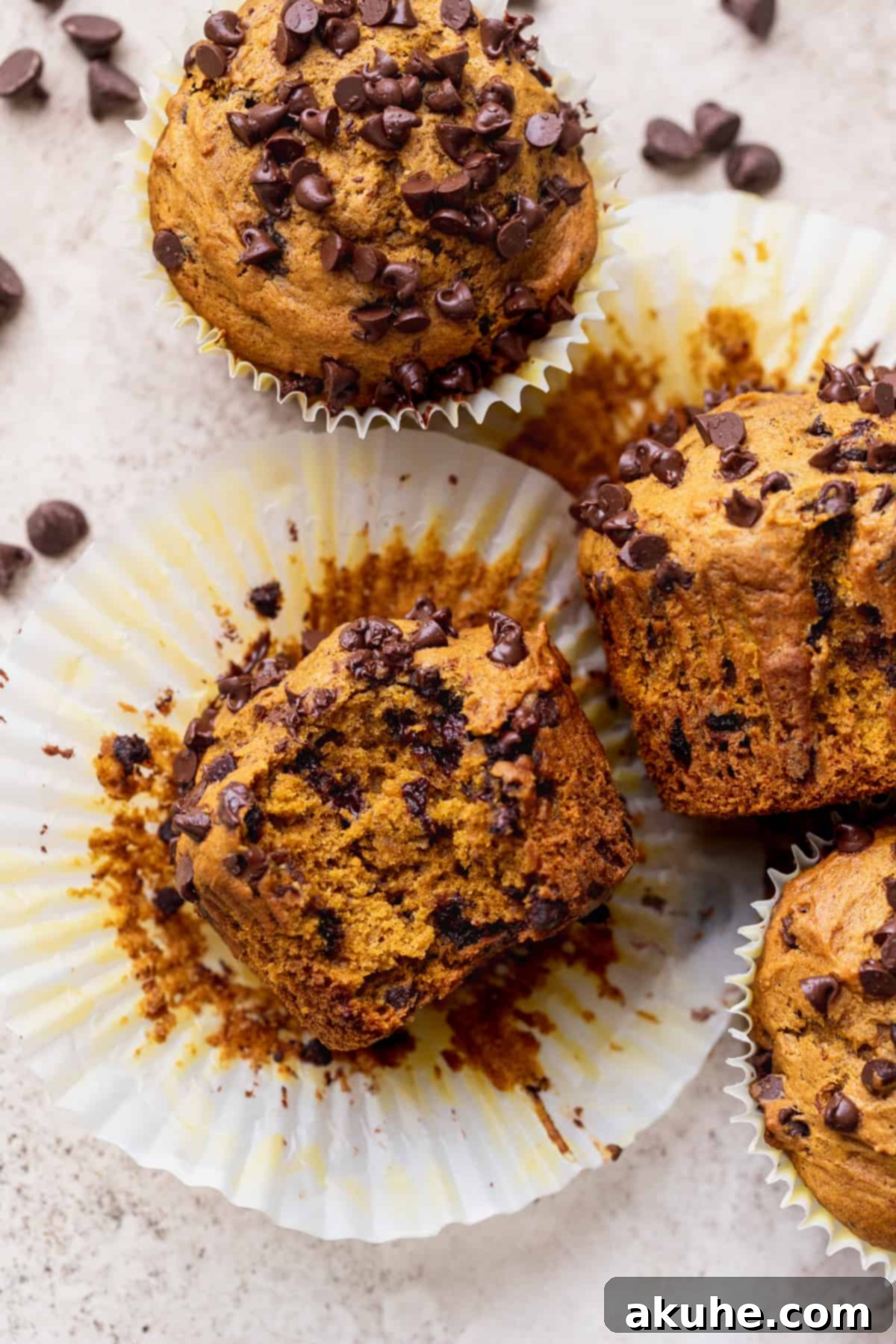 A pumpkin chocolate chip muffin with a bite taken, showing its fluffy, moist texture and even distribution of chips.